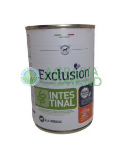 Exclusion intestinal dog