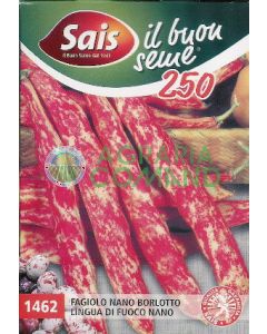 FAGIOLO NANO BORLOTTO LINGUA DI FUOCO  da sgusciare