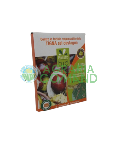 Feromone minatrice castagno