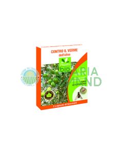 Feromone_verme_dell_oliva