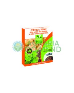 Feromone contro il verme patata