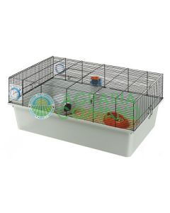 Gabbia_Ferplast_kios