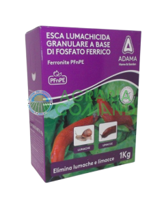 Esca lumachicida Adama