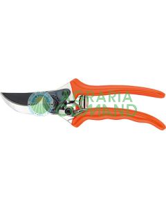 Forbice potatura da giardino