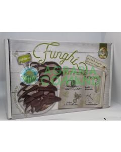 kit pronto funghi pleurotus