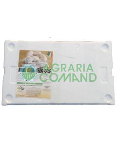 cassetta-pronta-prataiolo