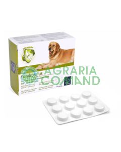 CONDROSALUS COMPRESSE 60 PZ. CONDROSALUS COMPRESSE 60 PZ.