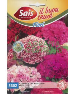 Garofano dei poeti alto doppio in miscuglio