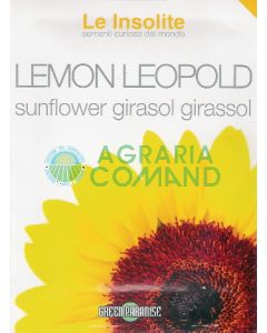 Girasole Lemon Leopold
