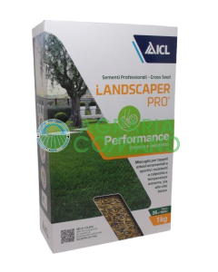 Seme per prato resistente alle alte temperature Landscaper ICL