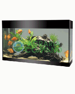 ACQUARIO ASKOLL PURE ABSOLUTE BLACK  XL   LT.94