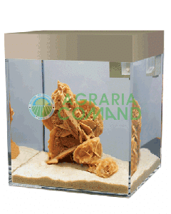 ACQUARIO ASKOLL NATURAL SAND  S  LT.13 
