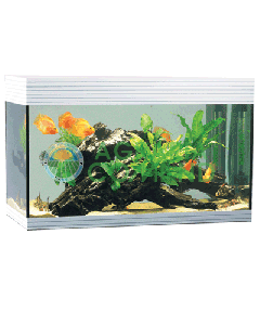 ACQUARIO ASKOLL PURE WHITE  L   LT.68
