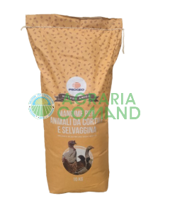 Cortile e selvaggina