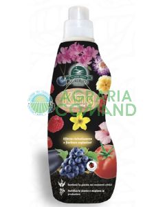 King concime King concime