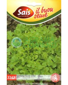 Lattuga Salad Bowl Lattuga Salad Bowl