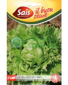 Lattuga regina dei ghiacci