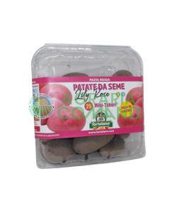 Confezione patate da semina Lilly Rose