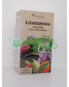 Litotamnio
