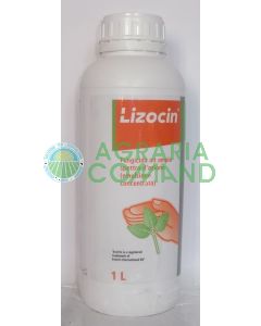Lizocin_fungicida_per_prato_1_litro
