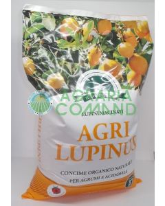 Agrilupinus lupini macinati