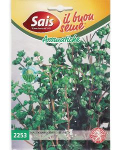 MAGGIORANA GENTILE MARIETTA