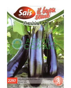 Melanzana lunga Elettra Sais