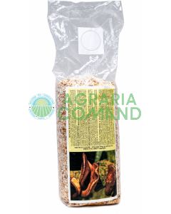 Micelio fresco di Shiitake (Lentinula edodes) su cereali colonizzati in sacchetto da 2,5 litri per semina e coltivazione funghi