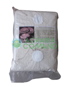 Seme micelio fresco Cardoncello