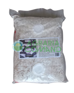 Seme micelio pleurotus Seme micelio pleurotus