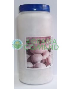 Micelio_fresco_di_prataiolo_crema Micelio_fresco_di_prataiolo_crema