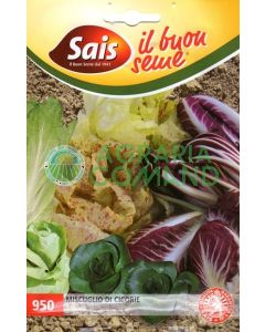 Miscuglio di cicorie