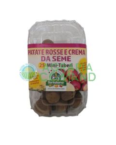 Patate da seme mini tuberi