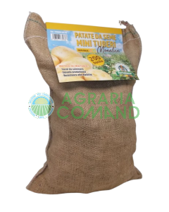 sacchetto monalisa 200 buche