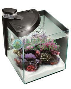 New More 30R Acquario marino