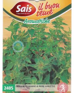 ORIGANO ITALIANO A FIORE VIOLETTO ORIGANO ITALIANO A FIORE VIOLETTO