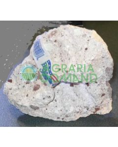 ROCCIA FRAGOLA MEDIUM