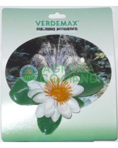 NINFEA  BIANCA GALLEGGIANTE