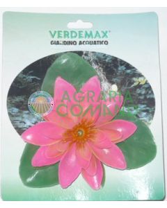 NINFEA  ROSA GALLEGGIANTE