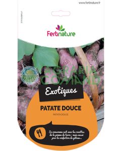 Patata_americana_dolce