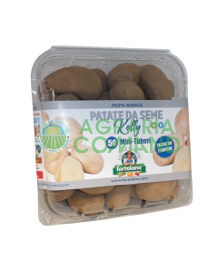 Confezione patata Kelly bianca