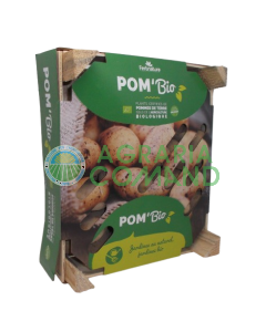 Patate da seme biologiche Charlotte