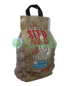 confezione patate da seme Sifra