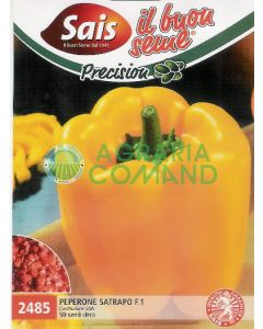 Peperone Satrapo