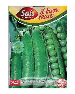 PISELLO NANO PROGRESS N.9