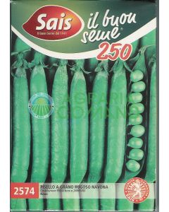 PISELLO A GRANO RUGOSO NAVONA  NANO GR.250