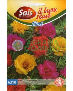 seme-portulaca-doppia-miscuglio