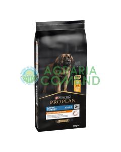 Pro Plan Adult robust