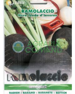 RAMOLACCIO NERO TONDO D'INVERNO RAMOLACCIO NERO TONDO D'INVERNO