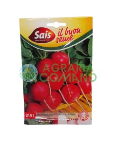 Ravanello gigante Siculo - estate